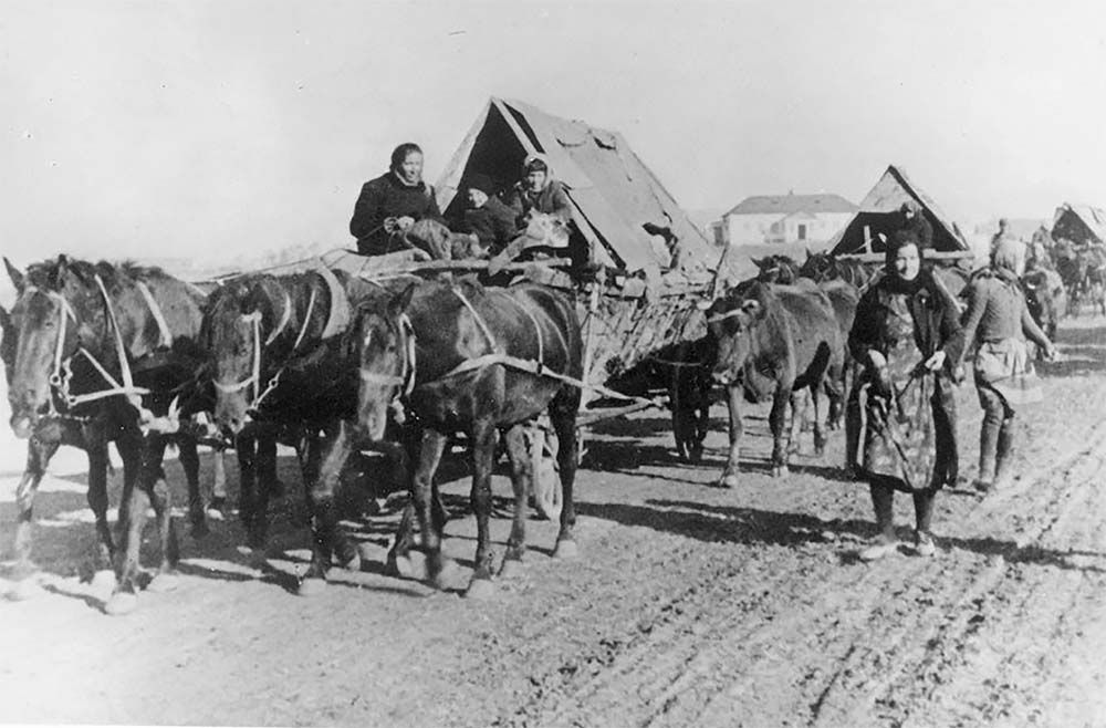 Ein mennonitischer Pferdewagen, der den Flüchtling-Treck während des Zweiten Weltkriegs in das Deutsche Reich begleitete. 